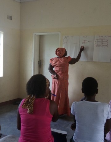 Roles_and_responsibilities_in_Rural_Local_Governance_in_Zimbabwe